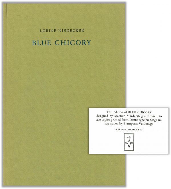 Blue Chicory - Lorine Niedecker