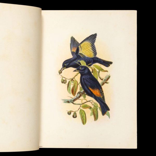 The avi-fauna of Australia : comprising Gould’s Birds of Australia and all other birds discovered in the Australian colonies since 1850