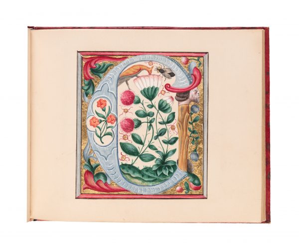 GOTHIC REVIVAL ILLUMINATION.  FRENCH ILLUMINATOR.  A suite of large neo-gothic illuminated initials.