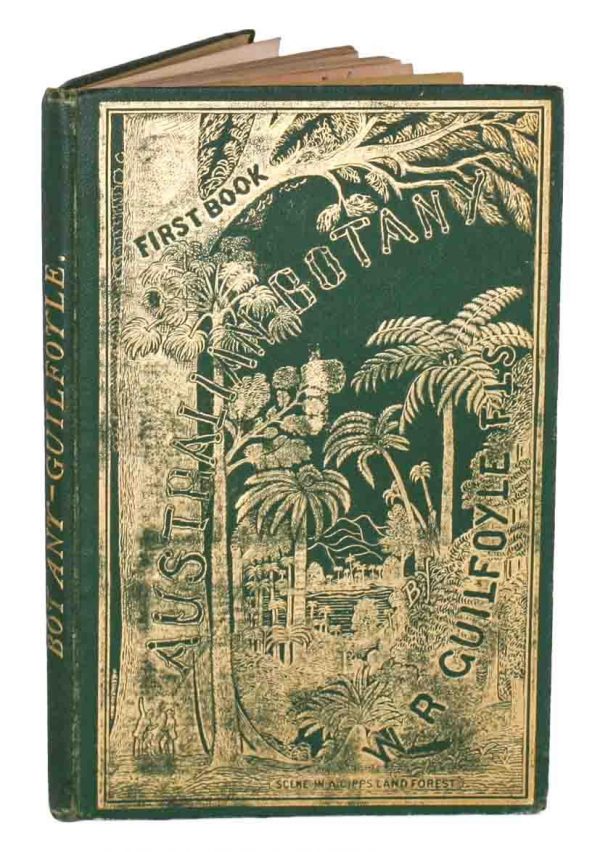 First book. Australian botany: specially designed for the use of schools